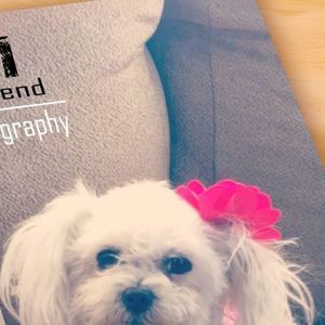 Meet your Posher, Graciela